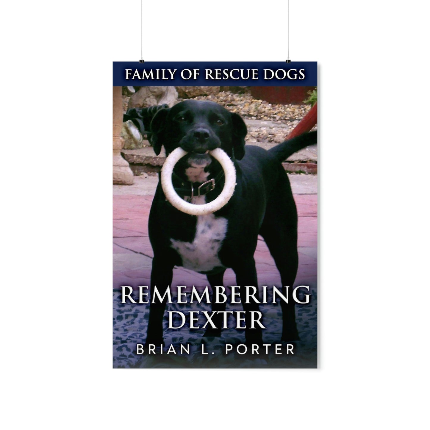 Remembering Dexter - Matte Poster