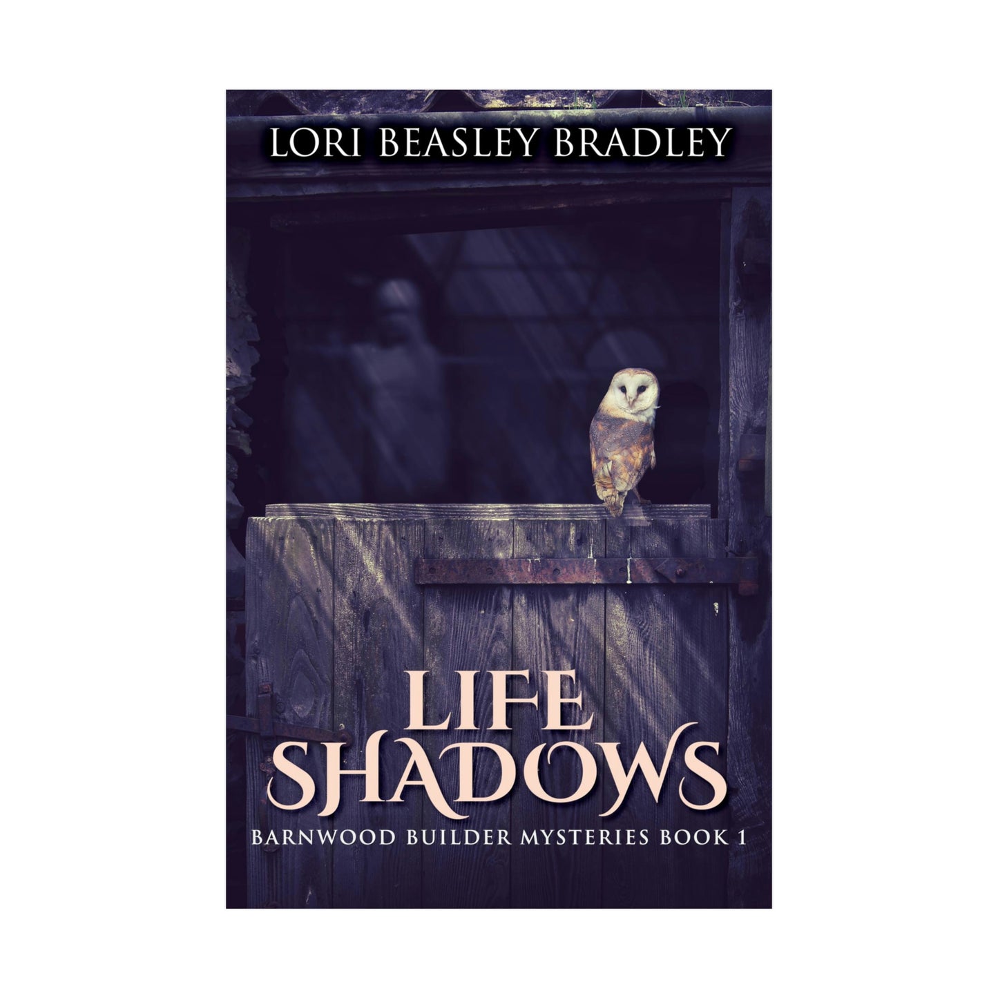 Life Shadows - Rolled Poster